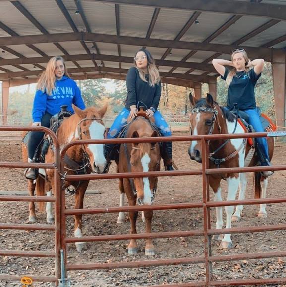 Meet your Posher, Victoria - Picture 1 of 1